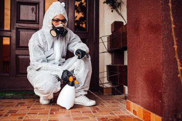 Reliable Bed Bug Control contractor in Eagle Mountain, UT by Nex Pest Control